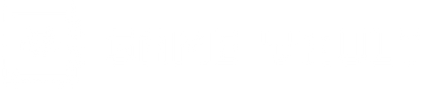 Game Vault